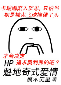 HP魁地奇式爱情